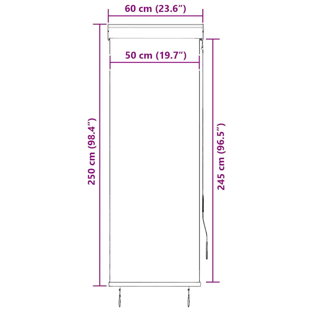 Tenda a rullo | Tenda avvolgibile per Esterni 60x250 cm Crema