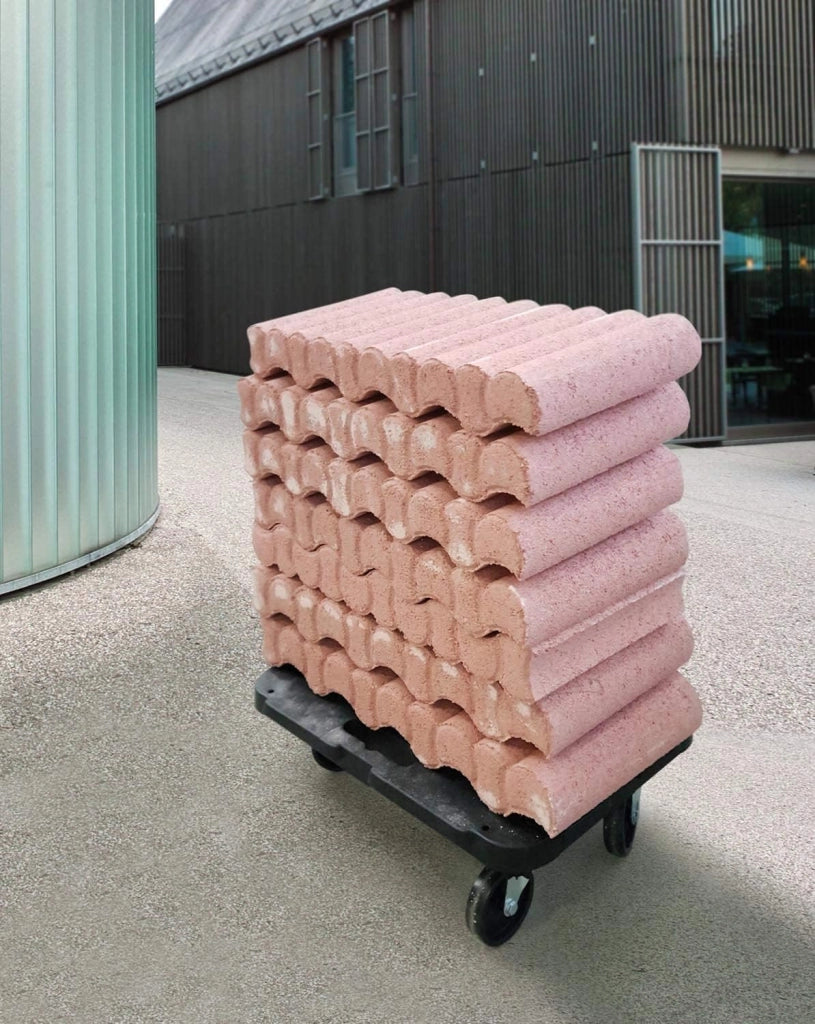 Carrello Pedana Pianale con Ruote 48x29xh12.5 cm PORTATA 300 KG NERO DOLLY
