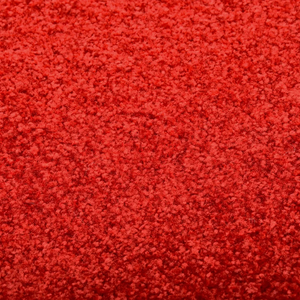 Zerbino Lavabile Rosso 60x90 cm 323422