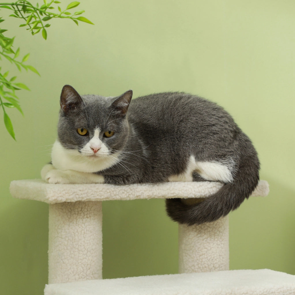 Scala per animali a 4 gradini in peluche
