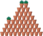 Pentola in Terra Cotta - Adatta per Piante Grasse - 48 Pezzi - 5 cm - Naturale