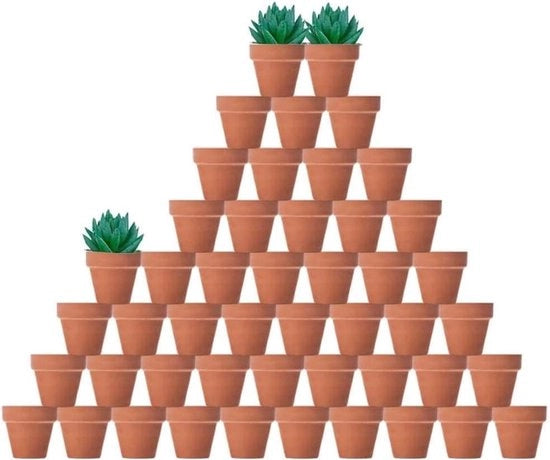 Pentola in Terra Cotta - Adatta per Piante Grasse - 48 Pezzi - 5 cm - Naturale