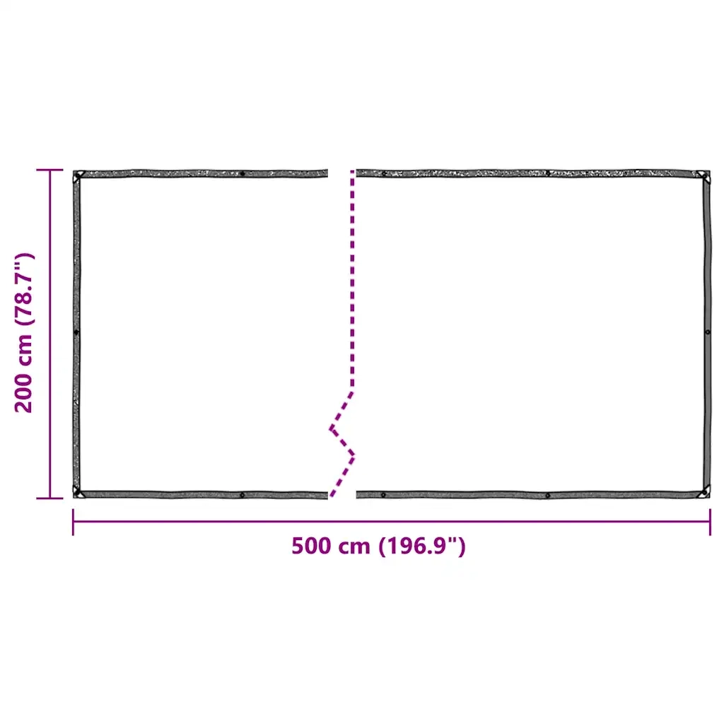 Telone Trasparente con Occhielli 2x5 m in Polietilene 4018550