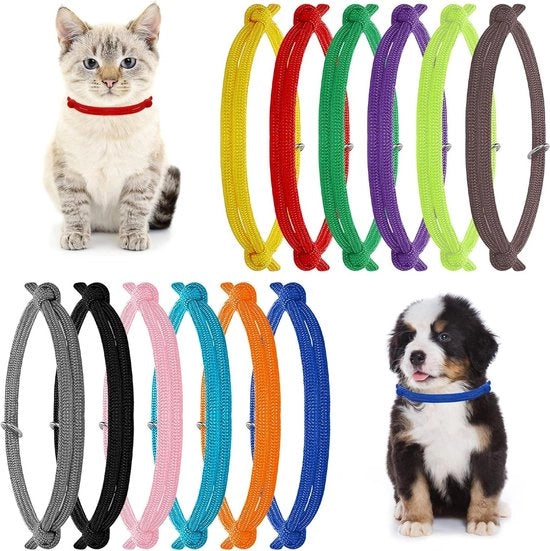 Collari adattivi per gattini e cuccioli piccoli - 12 pezzi, diverse colori - ideali per neonati.