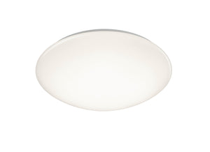 Plafoniera da Interno a LED in Plastica Bianco