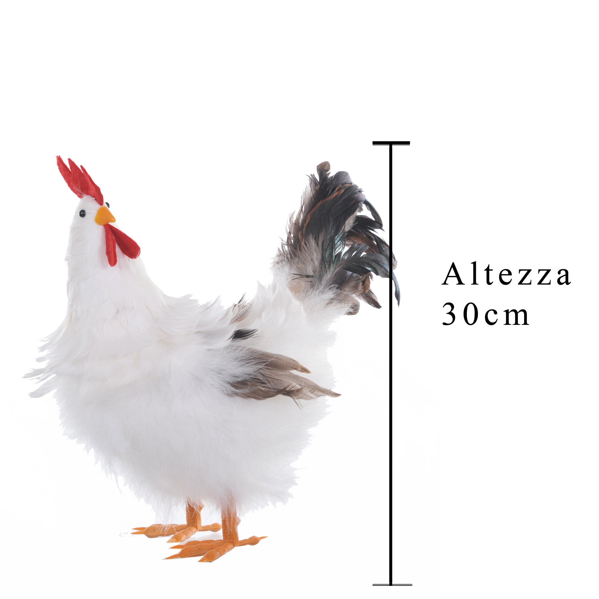 Gallo Decorativo H 30 cm