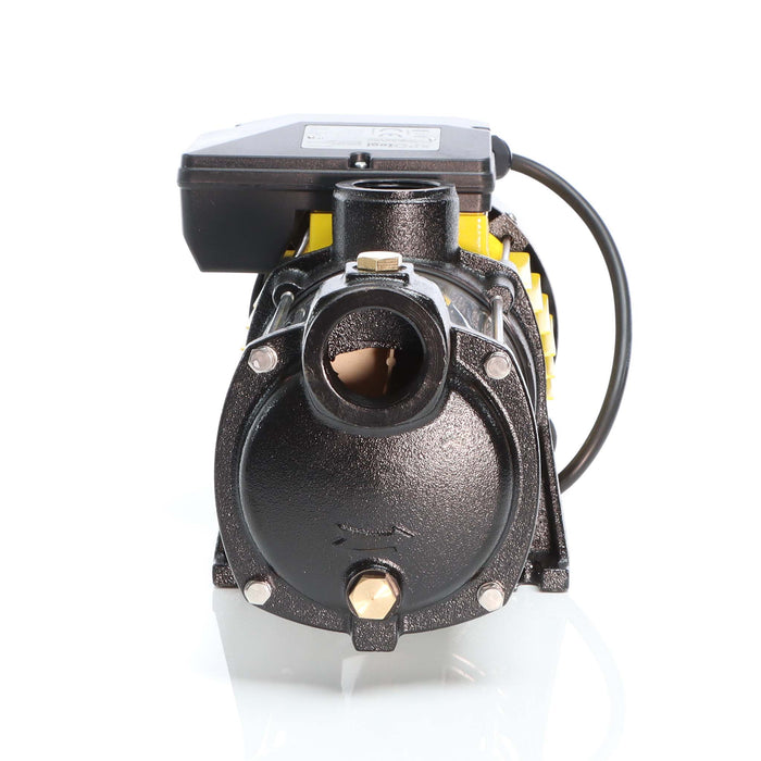 Pompa centrifuga multistadio 10.200l/h 1650W Autoclavi domestiche Prevalenza 65m Giardino