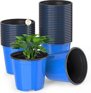 Pannelli per piante in plastica - 50 pezzi contenitori leggeri per semi blu - contenitori per semi per giardino - contenitori per semi per piante (15 x 13 cm)