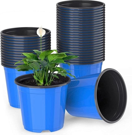 Pannelli per piante in plastica - 50 pezzi contenitori leggeri per semi blu - contenitori per semi per giardino - contenitori per semi per piante (15 x 13 cm)
