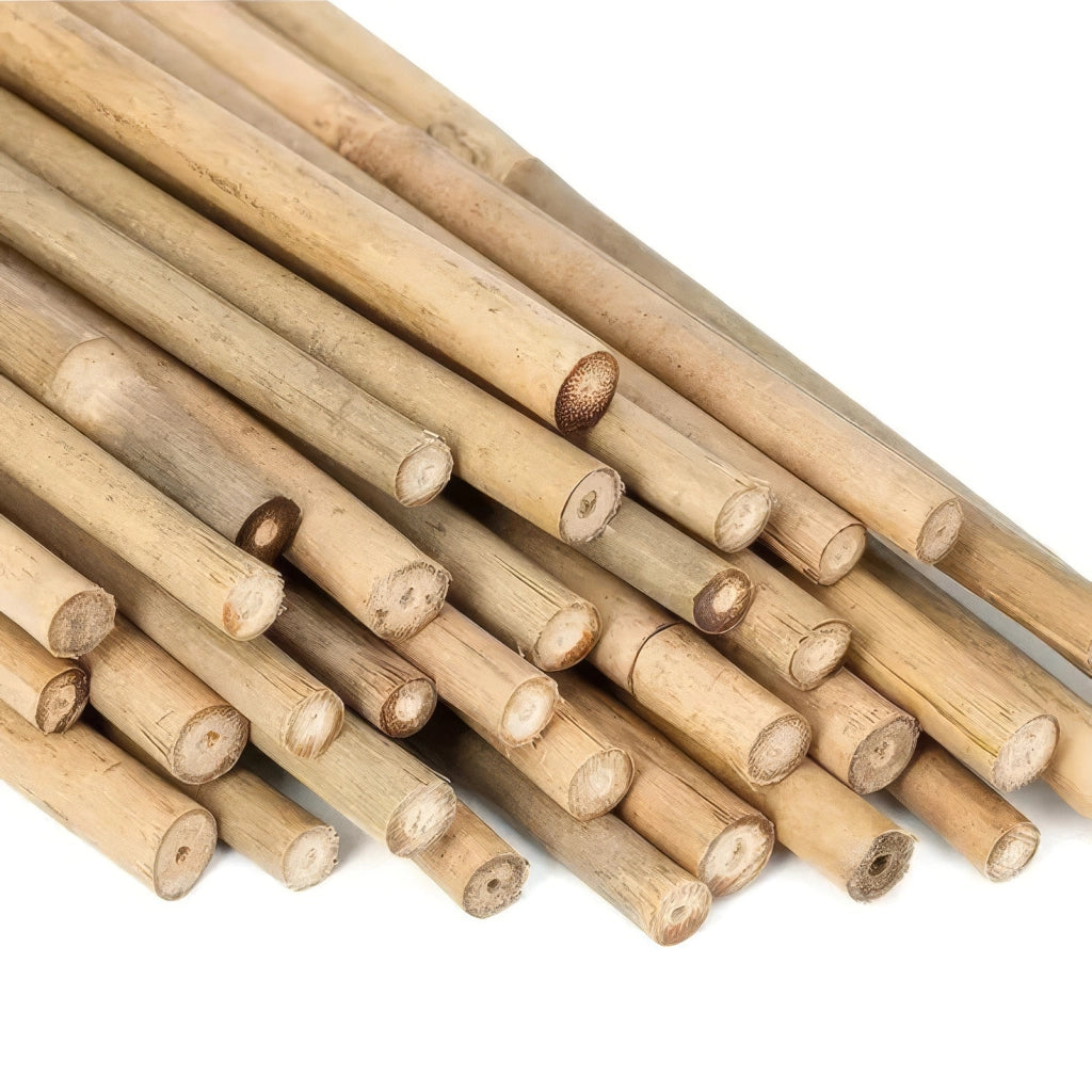 Kit 15 bambù 110 cm