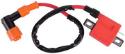 Alimentatore a scintilla per CG 125cc/150cc/200cc/250cc - ATV - Motocross - Kart - Motociclo - Scooter - Materiale resistente plastica/metallo - Drenaggio dell'antifiamma