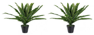 Set 2 Piante Artificiali di Felce 40x40x45 cm in Plastica con Vasi Verde