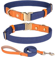 Collare per cani in nylon con cinturino, adattabile e sicuro, leggero e respirabile, adatto per cani piccoli, medi e grandi.