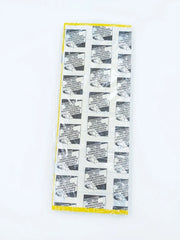 Set 10 Fogli di Carta Collante HACCP per Zanzariere Moel Glue Board Set 005999