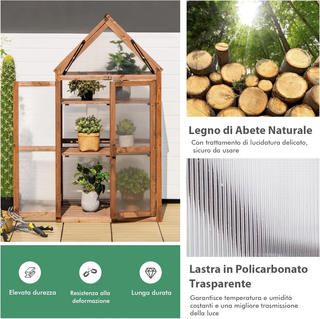 Mini Serra da Giardino in Legno a 3 Livelli, Serra da Giardino con Coperchio Apribile, Ripiani Rimovibili, Serra a Forma di Casetta da Interno ed Esterno, 71 x 41 x 133 cm