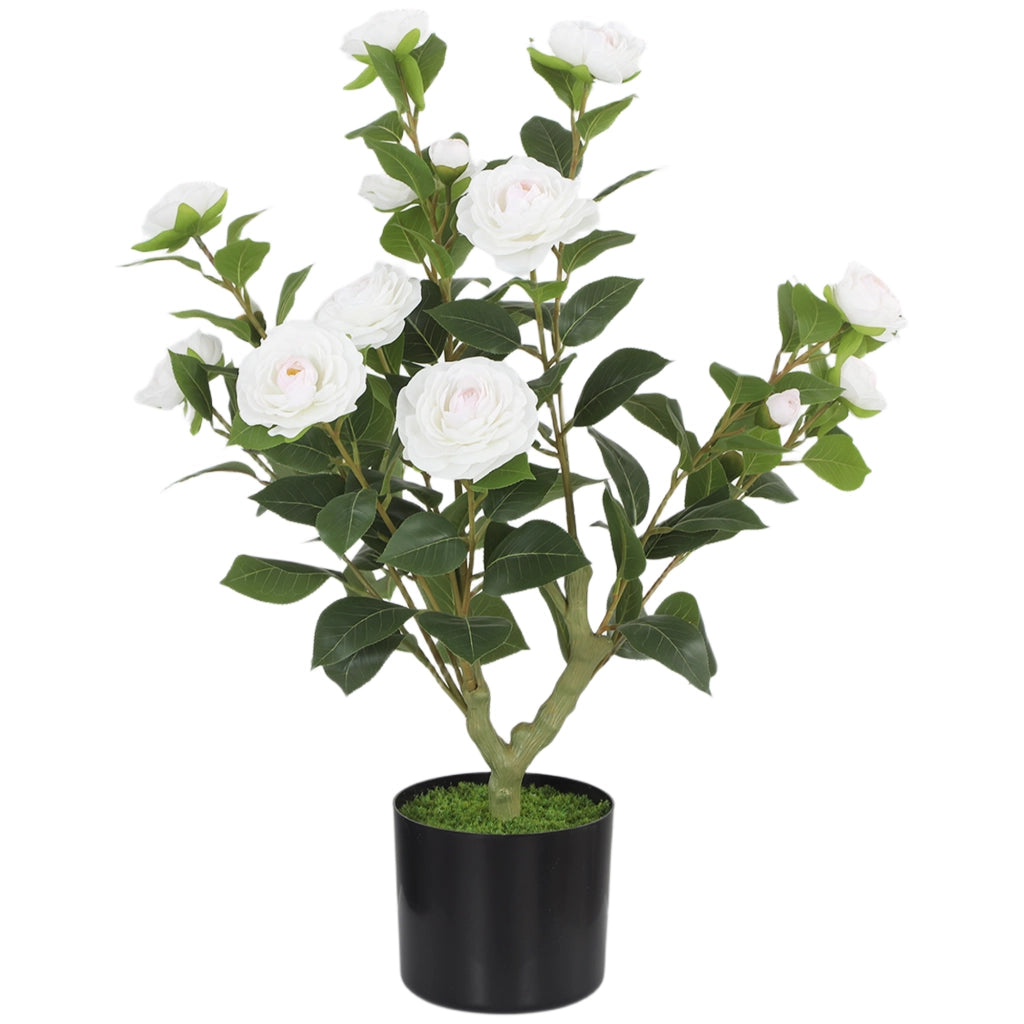 Planta Artificiale Camelia 65cm ¨C zephmum ¨C Bianco Verde