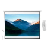 Schermo per Proiettore 120 Pollici Formato 4:3 Regolabile con Telecomando, Schermo di Proiezione Motorizzato Compatto, Installazione a Parete o Soffitto, 244x183 cm, Bianco