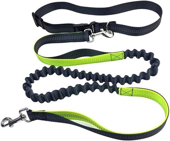Cintura per Cani Adattabile Senza Mani e Cavo Estensibile con Riflessi per Cani con Nastri di Gomma Verde