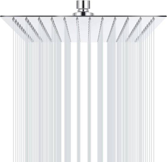 Douchekop con doccia 12 pollici - Acciaio inossidabile - 30 x 30 cm - Cromo