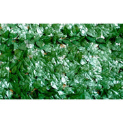 Siepe Artificiale Decorativa con Foglie Sempreverde Verdelook Formato: 1 h x 20 Mt