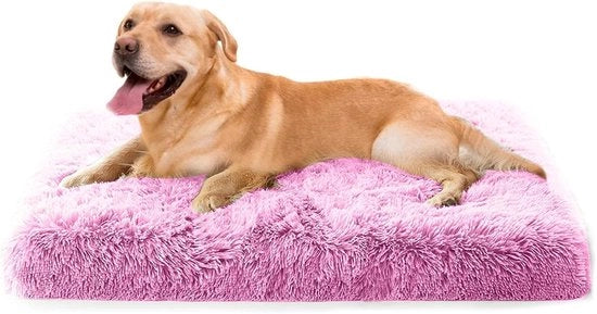 Casa per Cani e Gatti con Piumino di Memoria a Forma di Cuscino, con Fondino Antiscivolo e Copertura Rimovibile per Piccoli e Mediani Animali