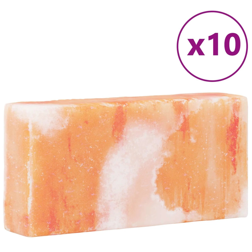 Pietre di Sale 10 pcs Rosa 20 x 10 x 5 cm Sale Rock