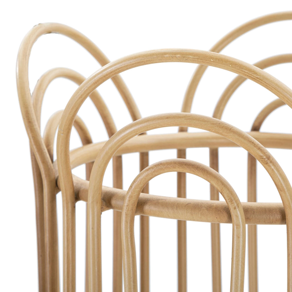 Damonono, Vaso Portavaso Finiture in Rattan, Marrone Rovere