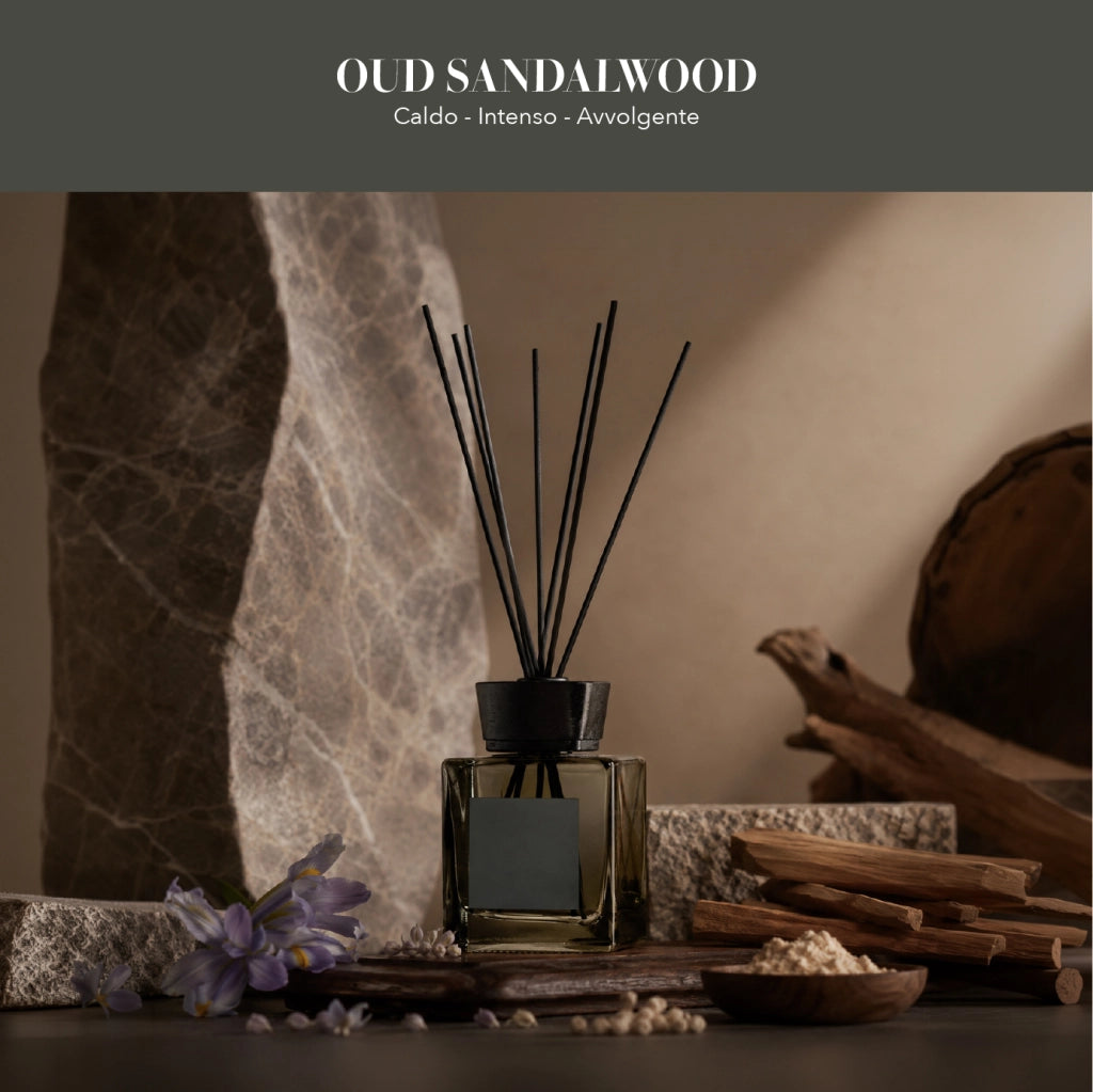 Set 2 Pezzi Diffusori Ambiente con Bastoncini Profumatori Casa 2 Fragranze 200 ml o 500 ml  200 ml