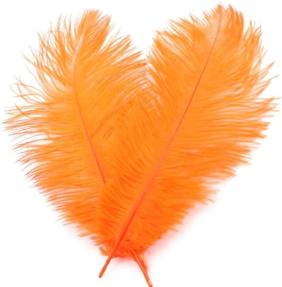 Veri di struzzo 50 pezzi - Decorazioni per caccia al sogno - Decorazione per la casa - Costumi - Decorazioni da tavola - Lunghezza 20-25 cm