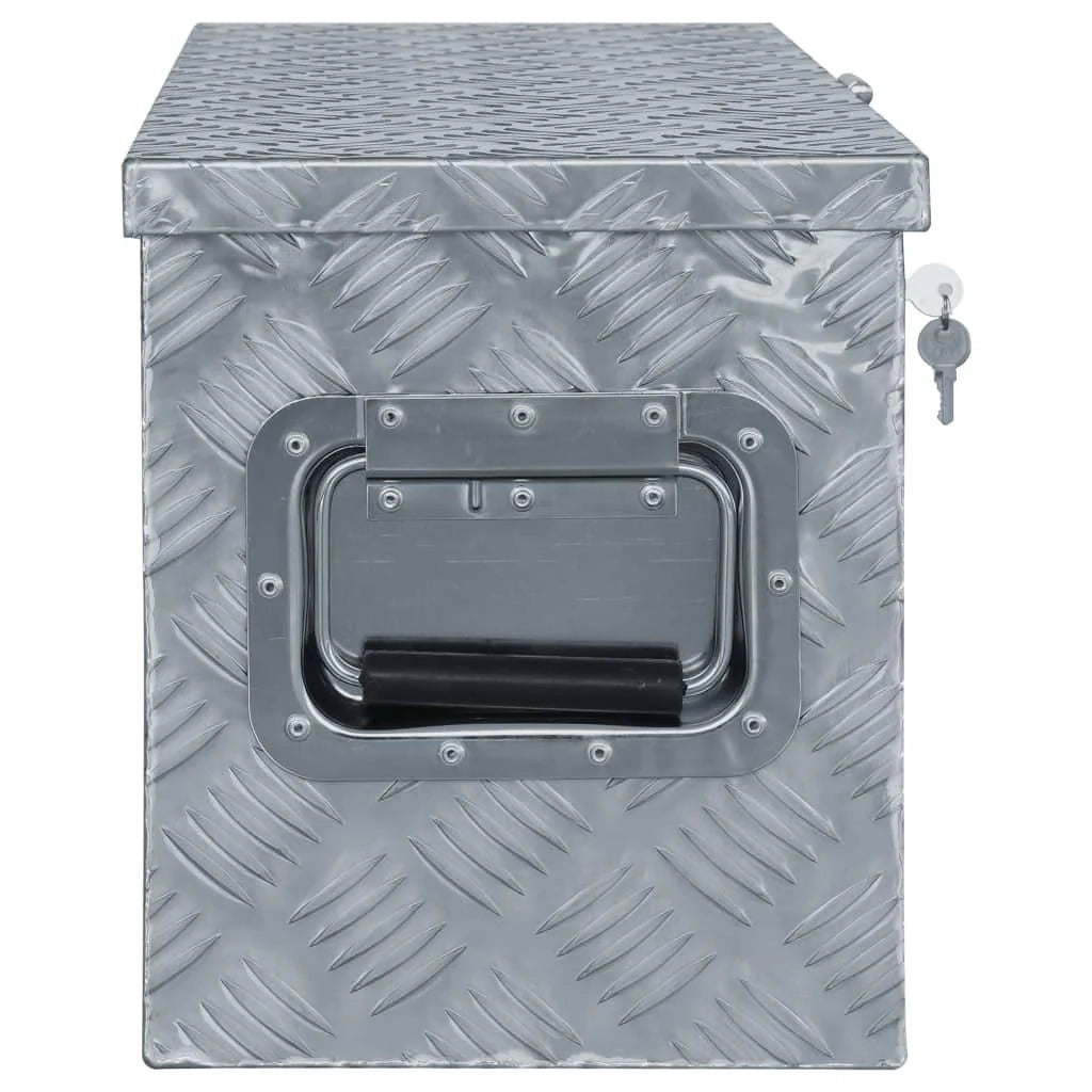 Cassetta portautensili in alluminio argentato baule portaoggetti cassetta degli attrezzi 80 x 30 x 35 cm argento 02_0003208