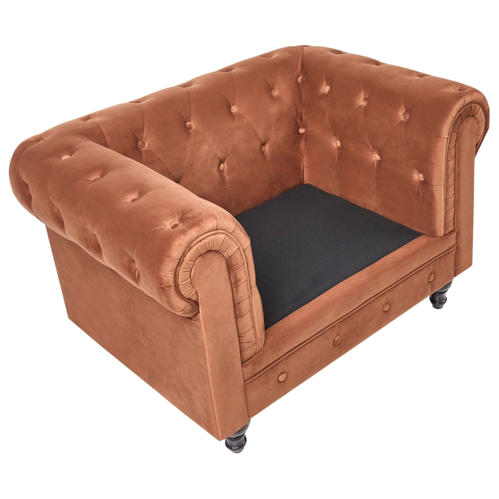 Set soggiorno Chesterfield Rivestimento in velluto marrone dorato Gambe nere Divano a 3 posti + poltrona