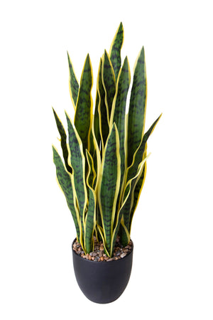 Pianta Artificiale Sanseveria con Vaso 78 cm