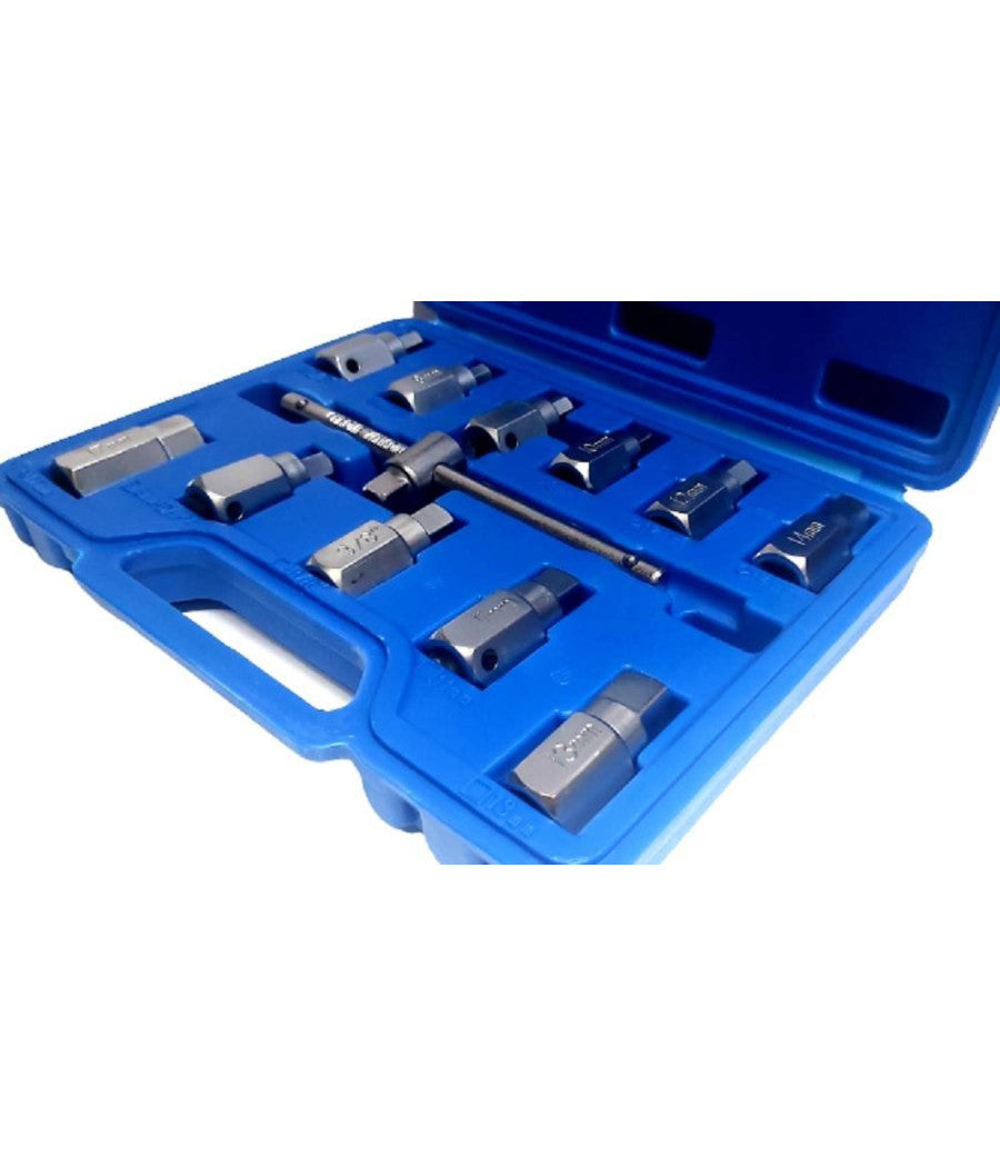 Chiave Del Carter Quadrato Ed Esagonale Set 12 Pezzi Chiavi Universali A Bussola         