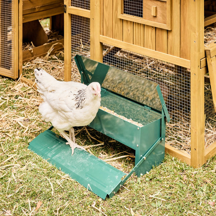 Alimentatore automatico per polli, 5kg, verde