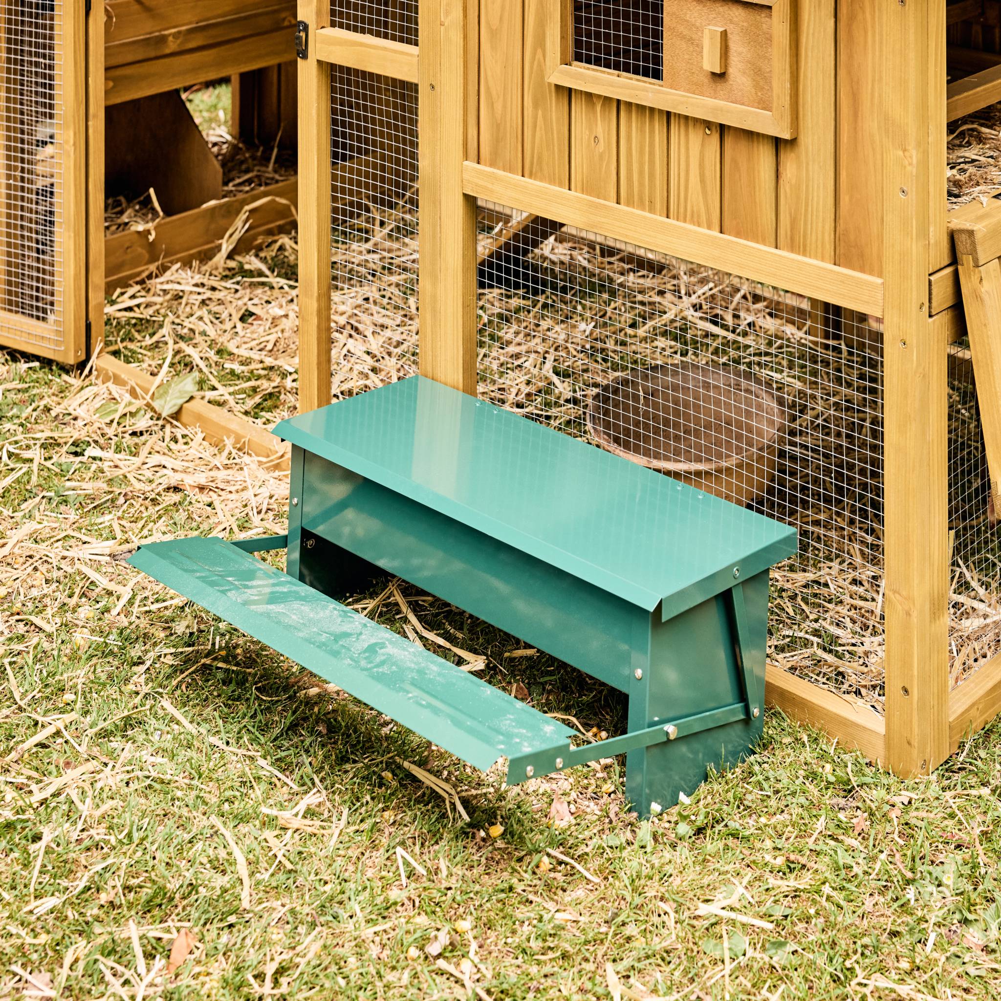 Alimentatore automatico per polli, 5kg, verde