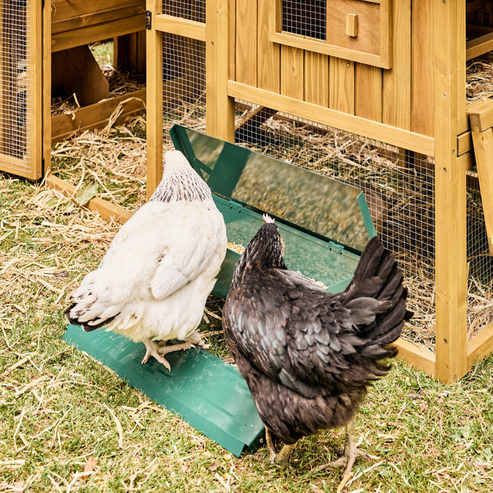 Alimentatore automatico per polli, 5kg, verde