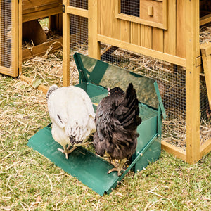 Alimentatore automatico per polli, 5kg, verde