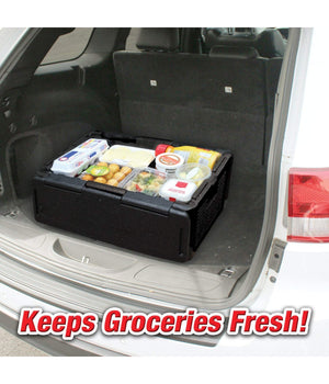 Chill Chest Contenitore Frigo Pieghevole Raffreddamento Frigorifero Portatile         