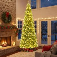 Albero decorazione per feste natalizie interni ed esterni, Albero di natale artificiale pieghevole pre-illuminato-Alberi di Natale