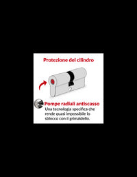 Cilindro europeo Cobra 2 38X48mm Nichelato, anti effrazione, antiscasso, antitrapano, 4 chiavi ergonomiche  - THIRARD