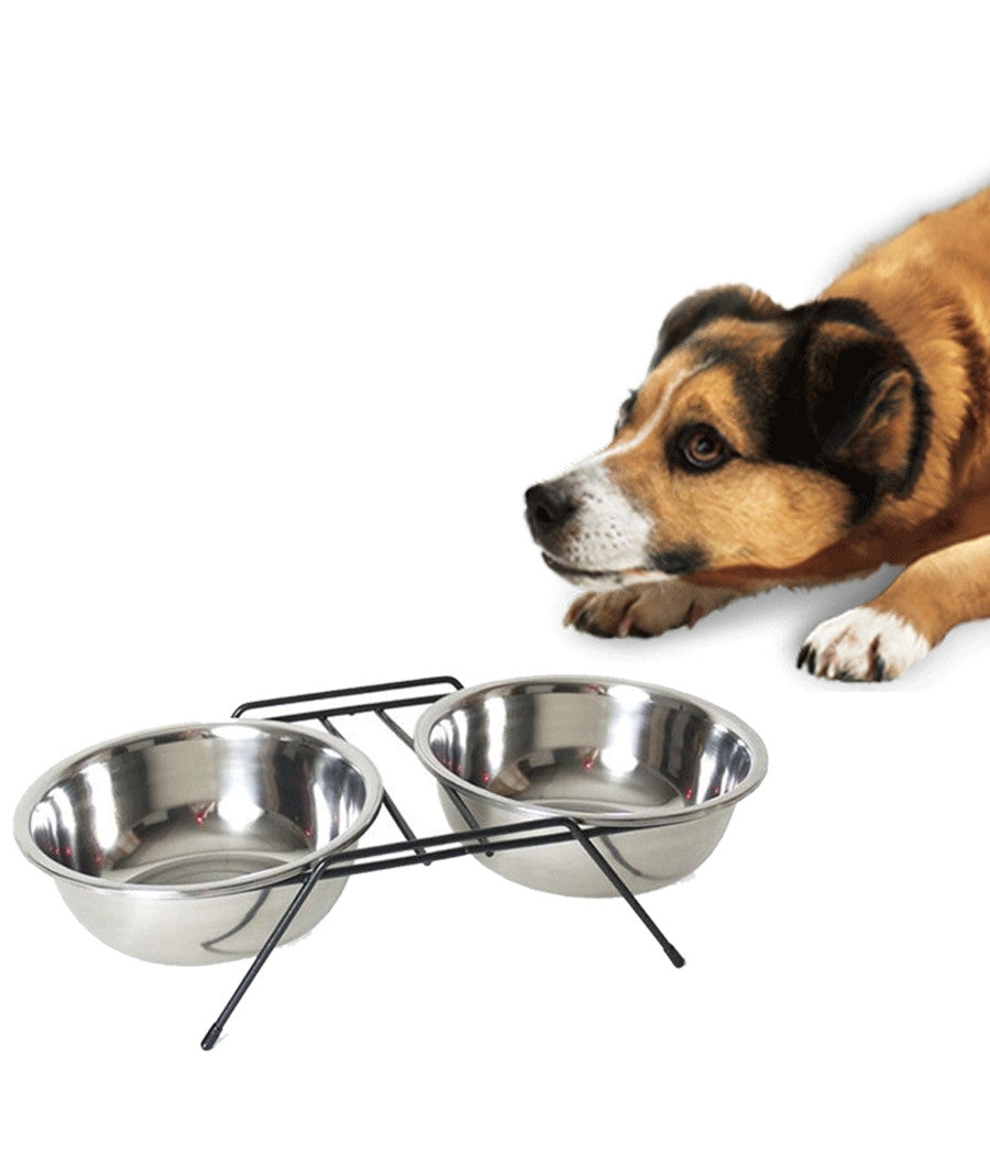 Ciotola Doppia Rialzata Per Cani 2 Per 14cm Con Supporto Cibo Acqua In Metallo         