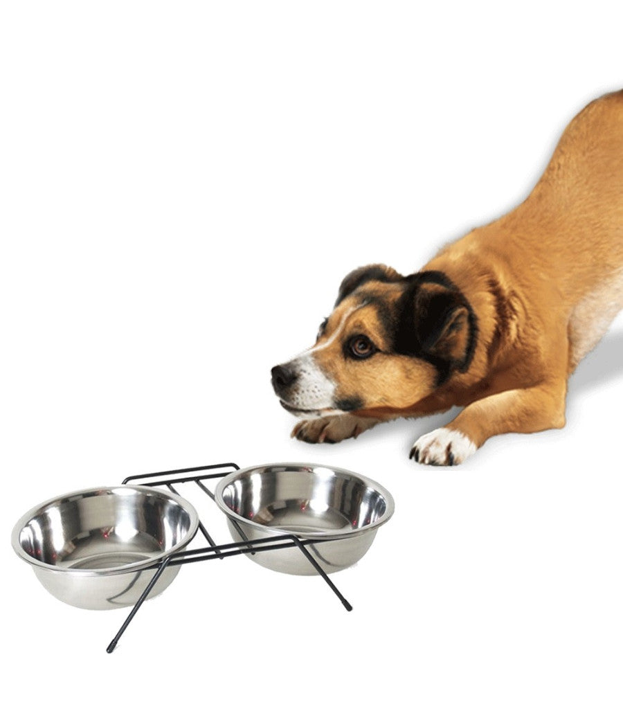Ciotola Doppia Rialzata Per Cani 2 Per 14cm Con Supporto Cibo Acqua In Metallo         