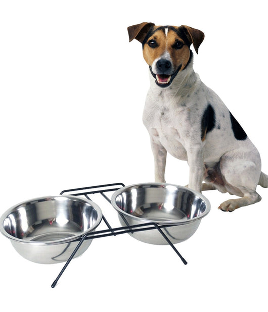Ciotola Doppia Rialzata Per Cani 2 Per 20cm Con Supporto Cibo Acqua In Metallo         
