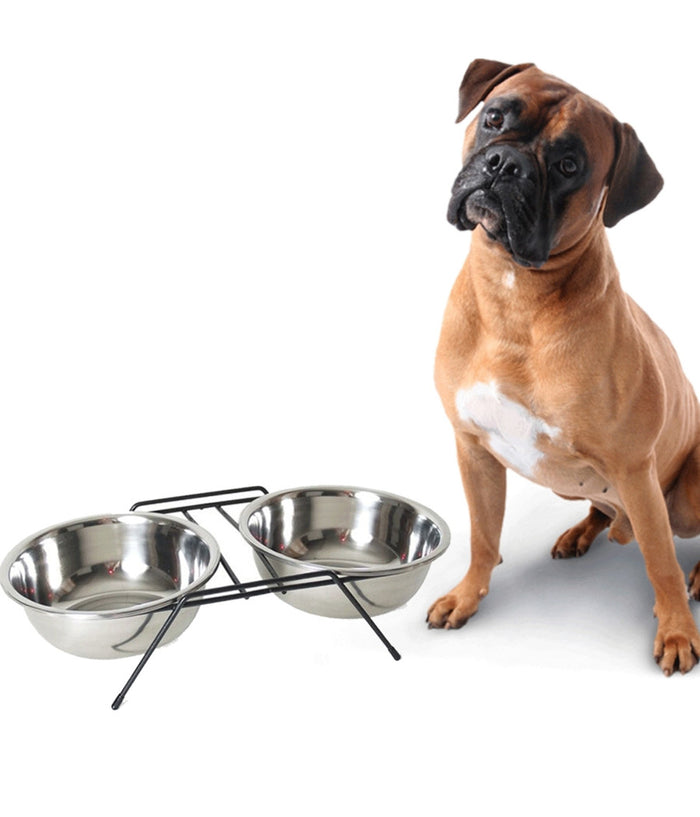 Ciotola Doppia Rialzata Per Cani 2 Per 22cm Con Supporto Cibo Acqua In Metallo         