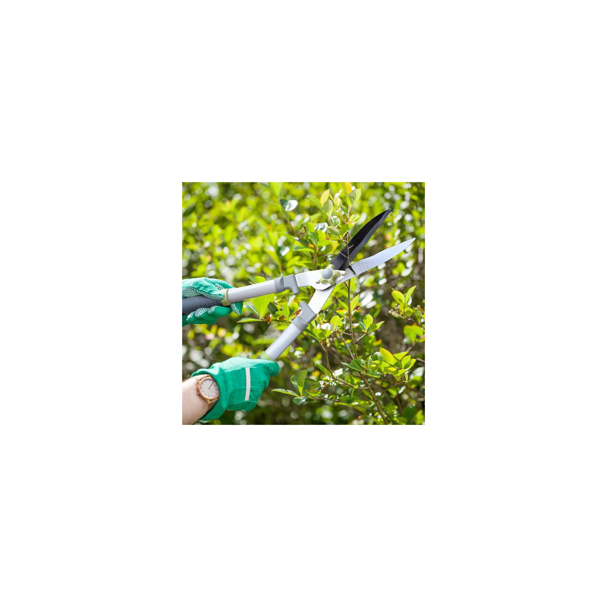 Forbici per siepi con lame ondulate - Suan - Rivestimento antiscivolo - Dimensioni : 58 x 23 cm