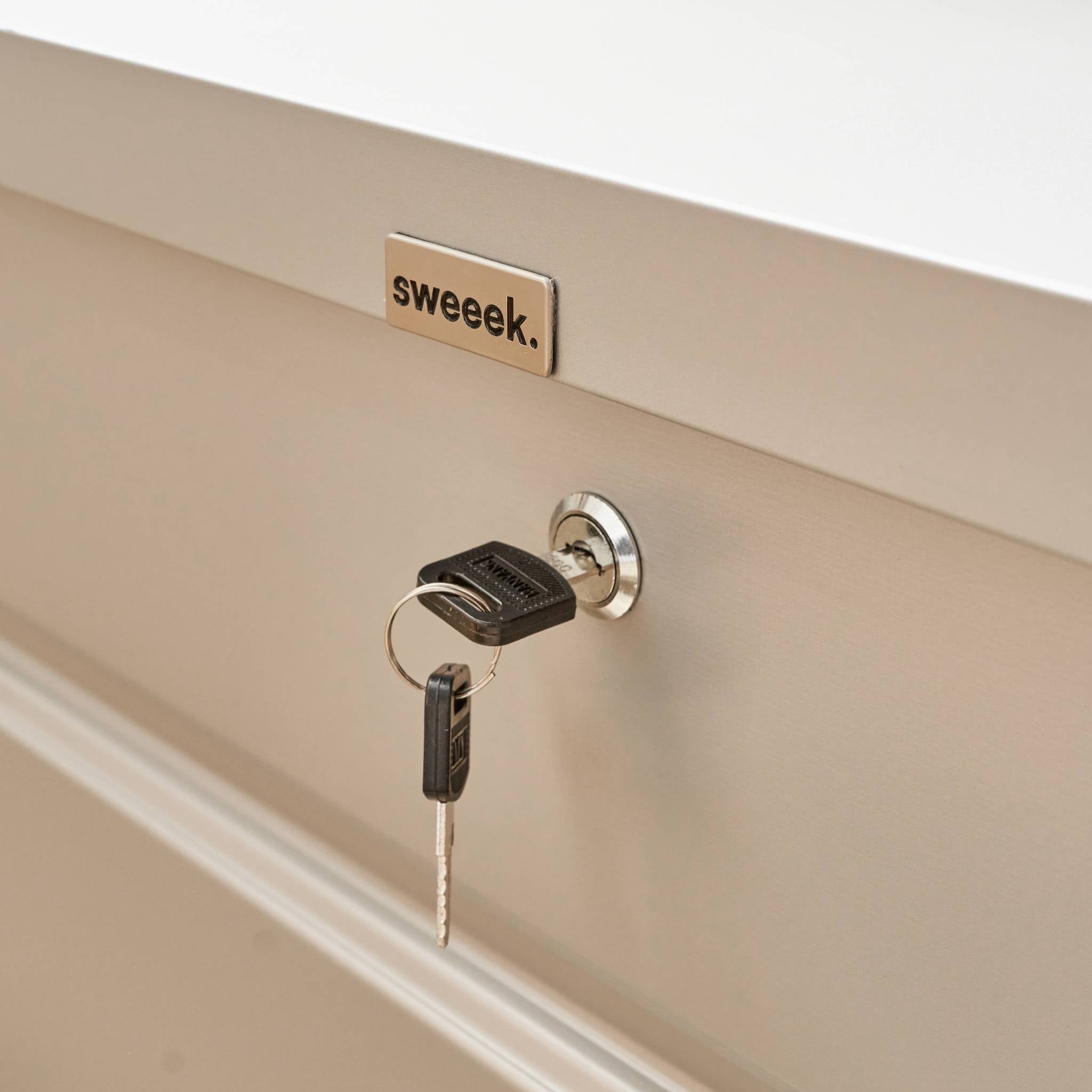 Baule da giardino in metallo, 385l, grigio alluminio