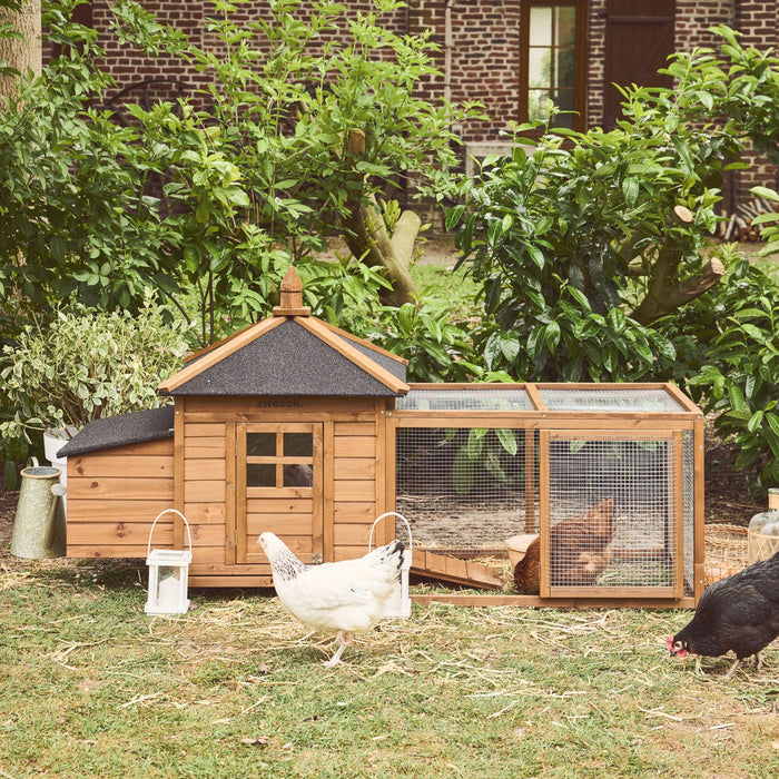 Pollaio in legno con recinto per 4 galline, marrone naturale