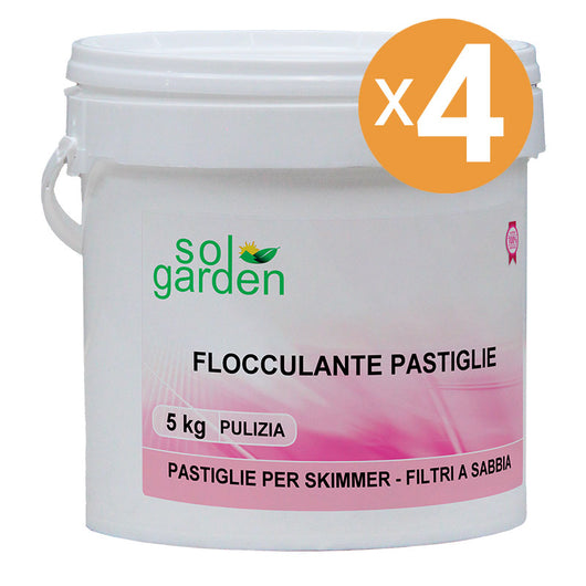 Flocculante In Pastiglie 100 Gr Per Piscina, 4 Confezioni Da 5 Kg