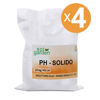 Riduttore Ph Piscina Granulare, 4 Sacchi Da 25 Kg