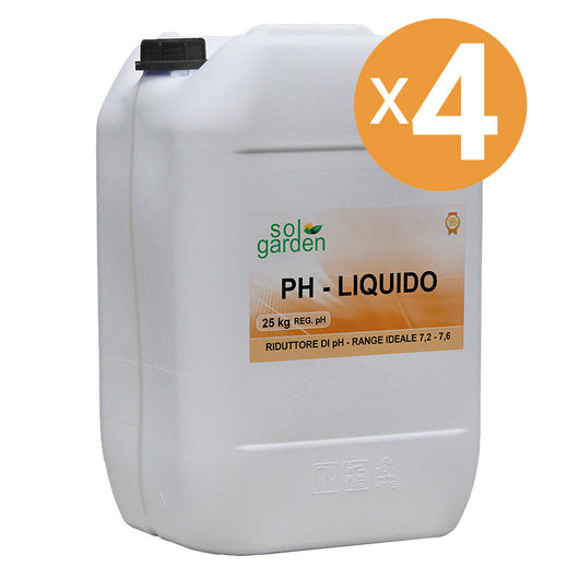 Riduttore Ph Piscina Liquido, 4 Confezioni Da 25 L